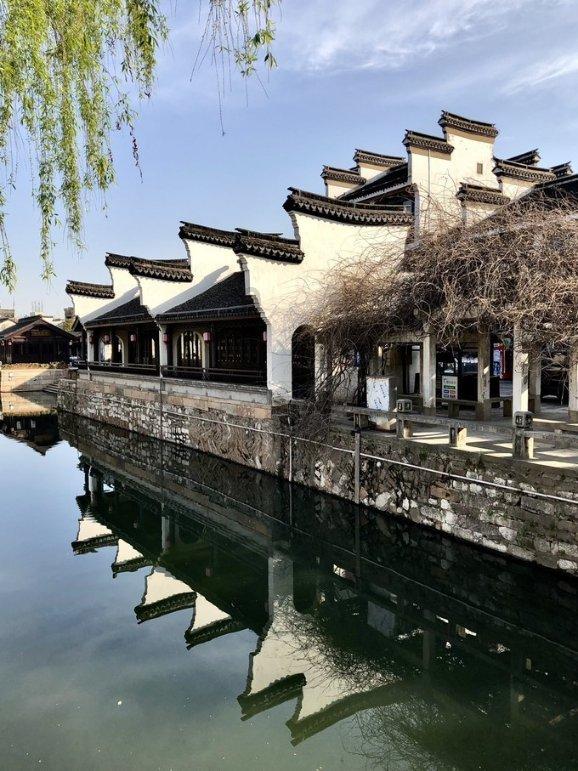 煮猪皮冻时注意这1步，皮冻清澈透亮有嚼劲，而且没腥味